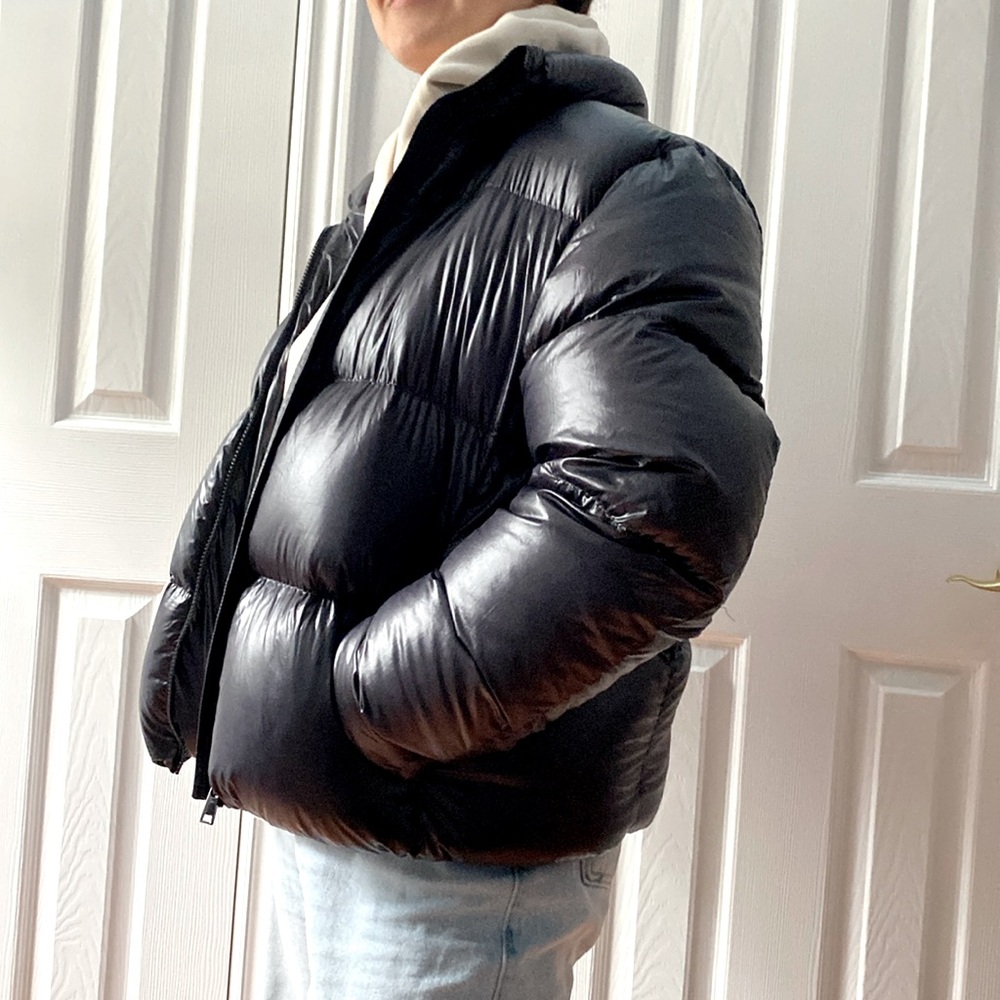 Aritzia Babaton Puffer Jacket Park City Goose Down